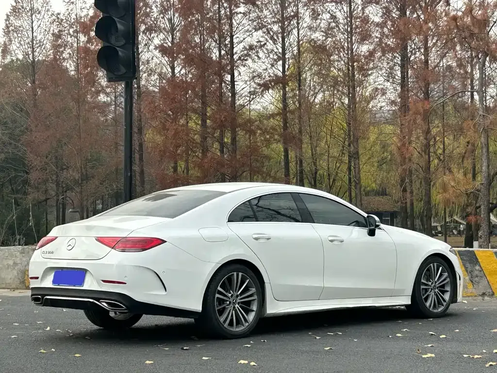 Mercedes-Benz CLS — фото 5