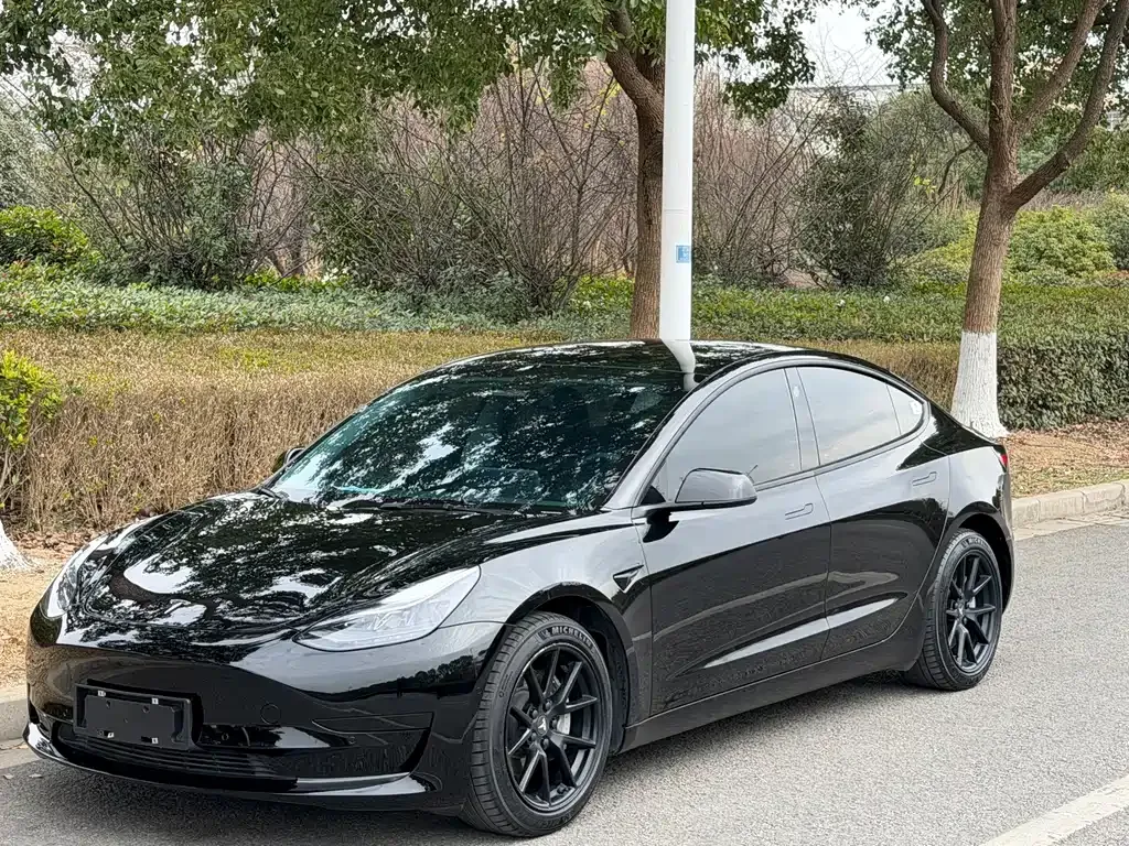 Tesla Model 3 — фото 1