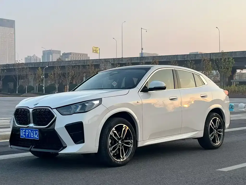 BMW X2 — фото 1