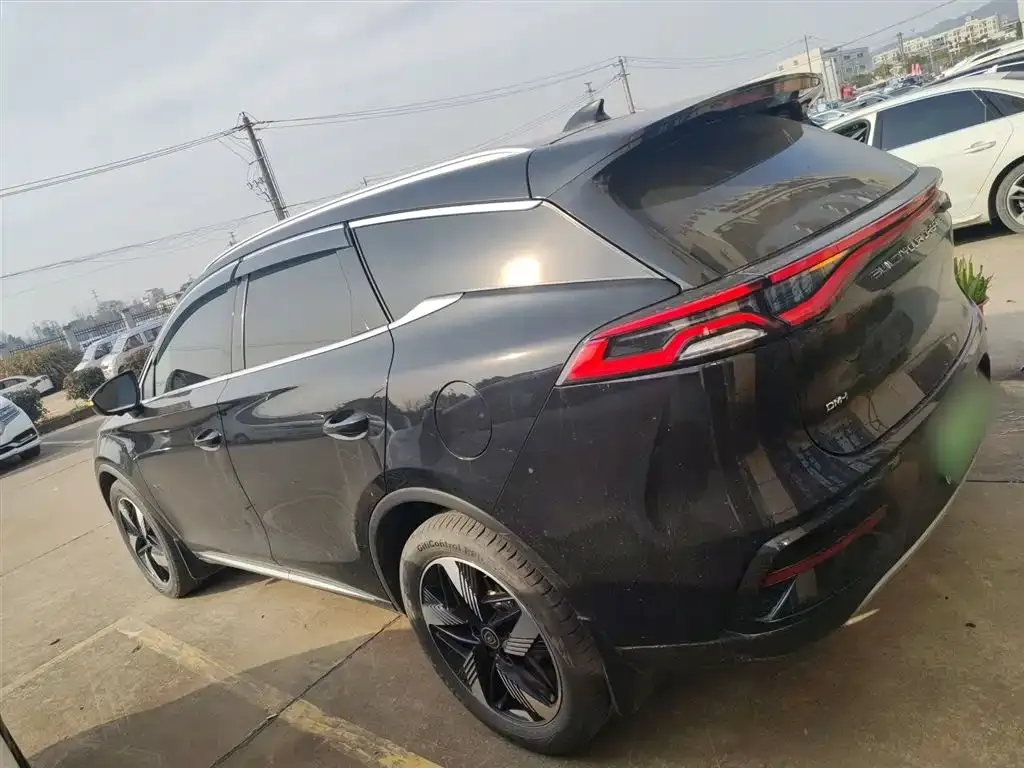 BYD Tang New Energy — фото 10