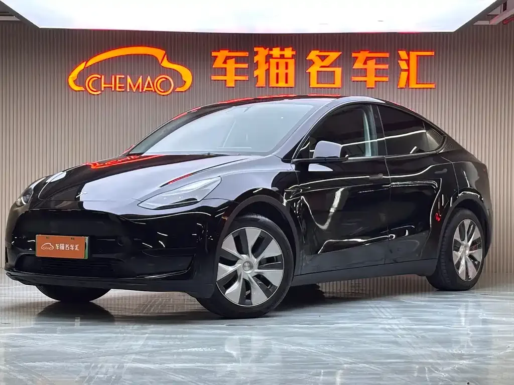 Tesla Model Y — фото 1
