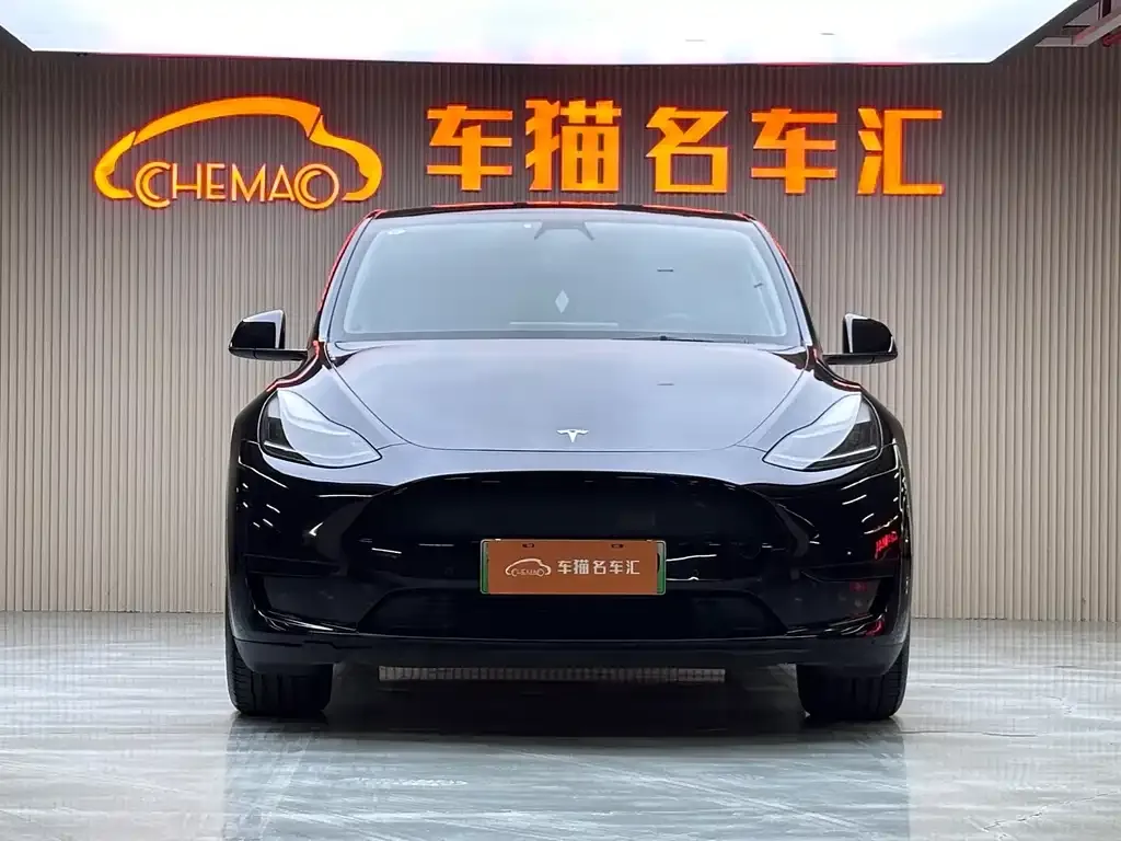 Tesla Model Y — фото 6