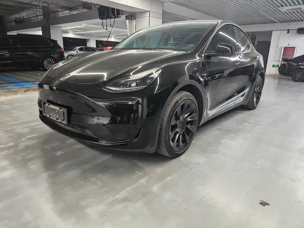 Tesla Model Y — фото 1