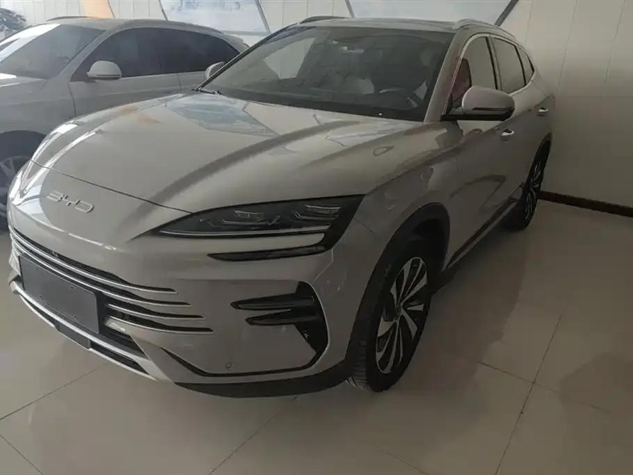 BYD PLUS New Energy — фото 1