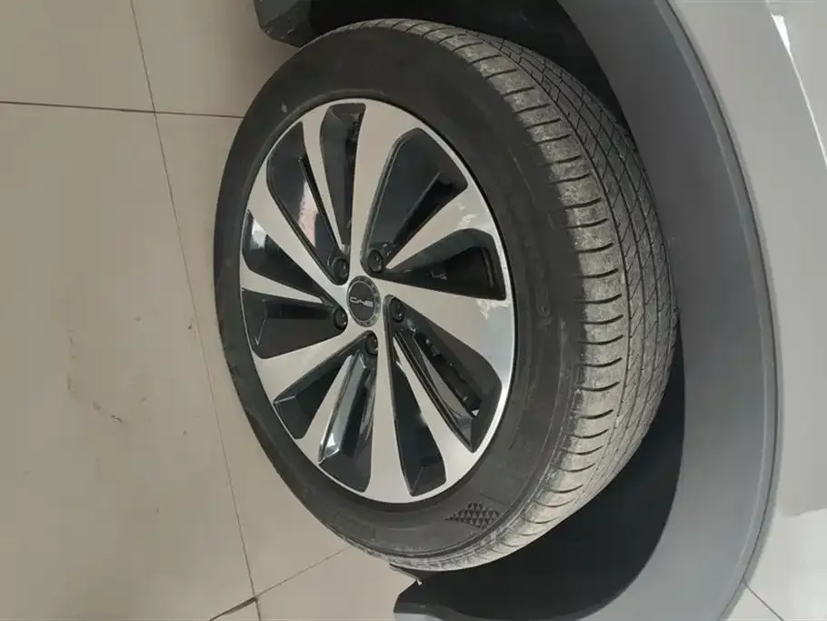 BYD PLUS New Energy — фото 6