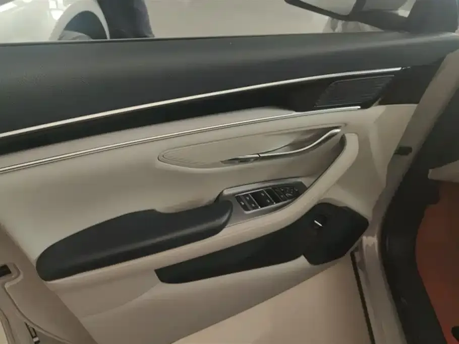 BYD PLUS New Energy — фото 10