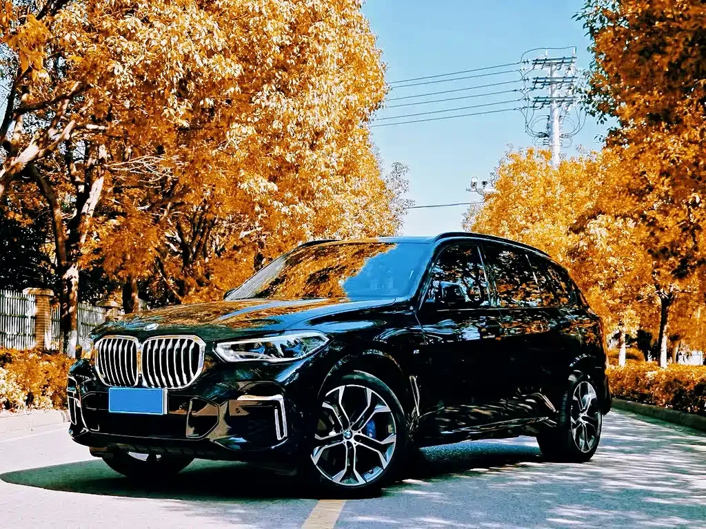 BMW X5 — фото 1