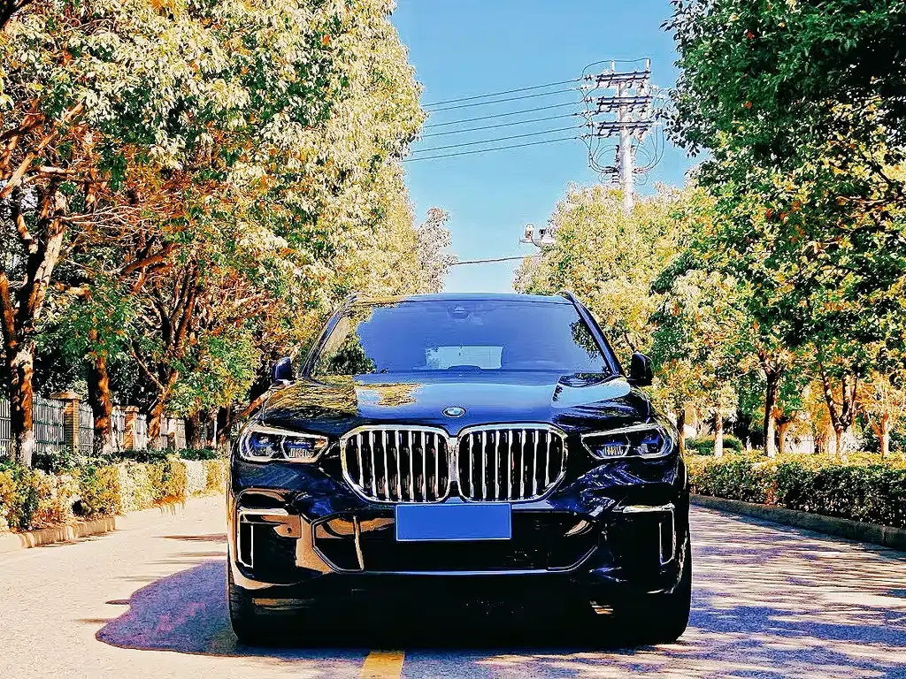 BMW X5 — фото 9