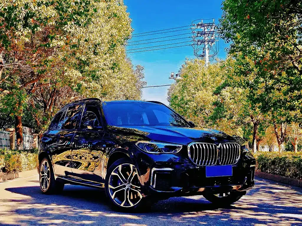BMW X5 — фото 5