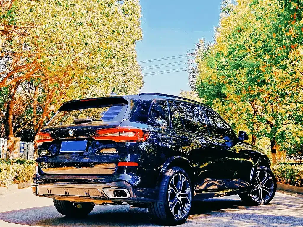 BMW X5 — фото 6