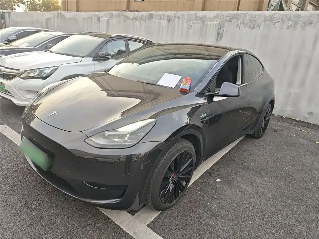 Tesla Model Y — фото 1