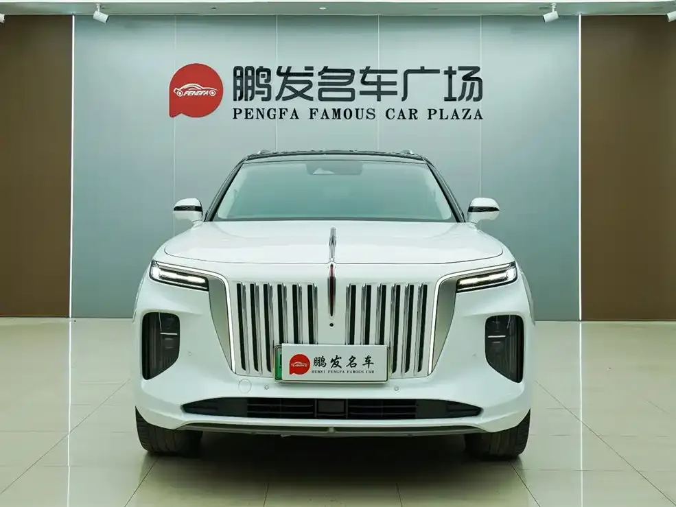 Hongqi E-HS9 — фото 3
