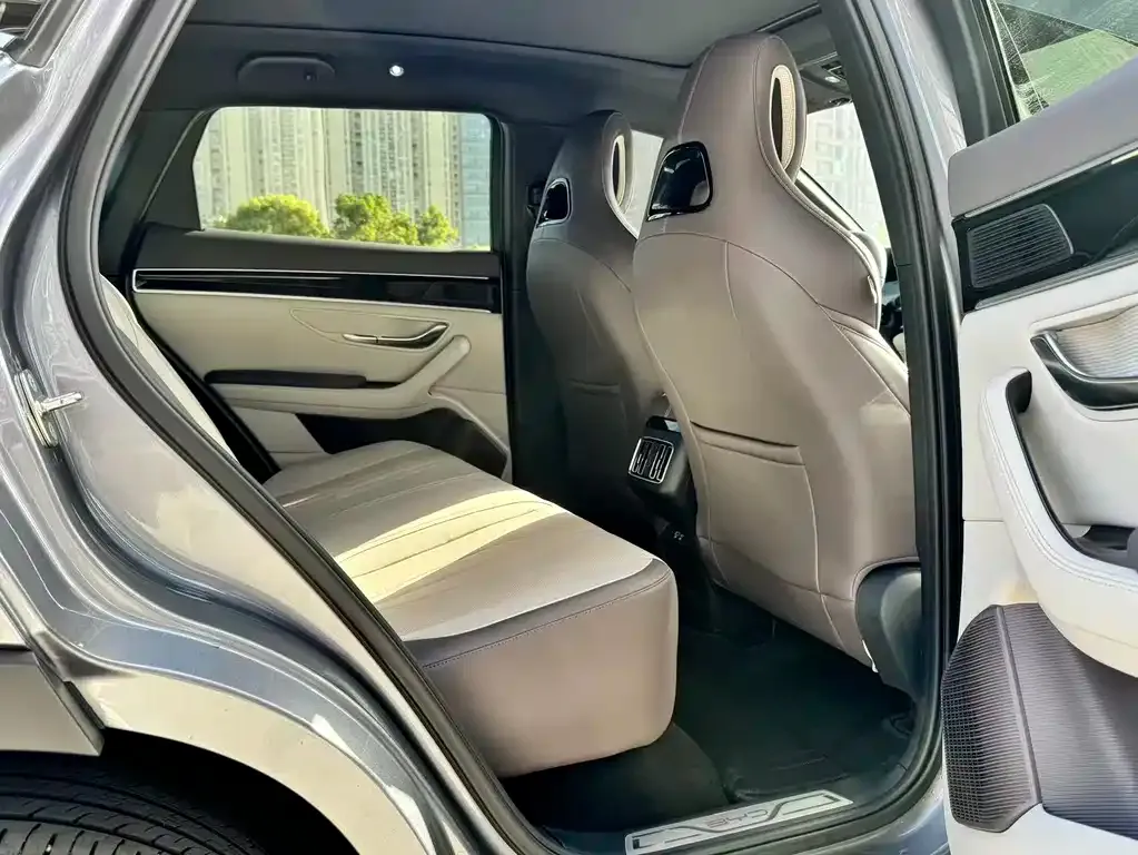 BYD PLUS New Energy — фото 10