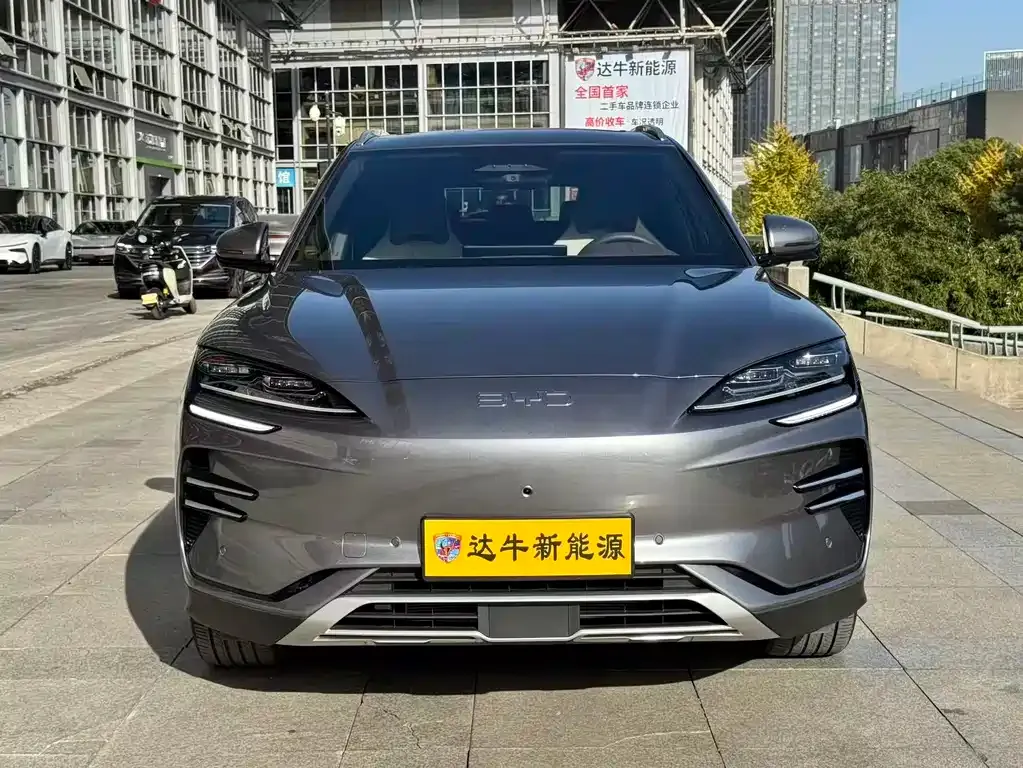 BYD PLUS New Energy — фото 2