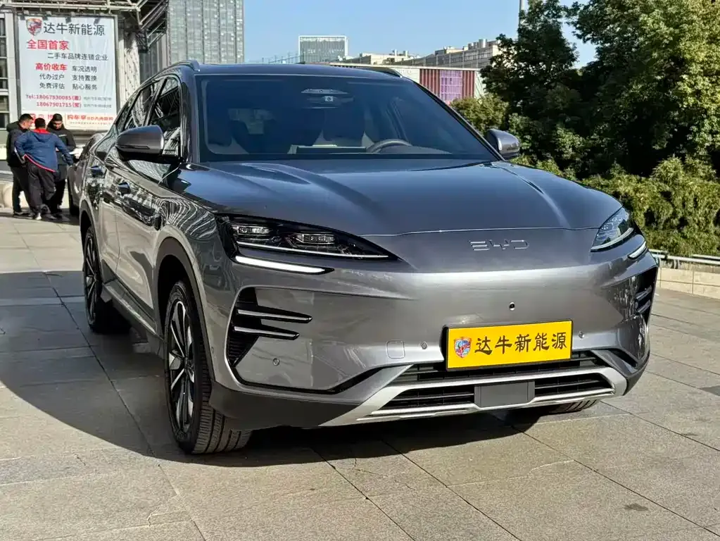 BYD PLUS New Energy — фото 3