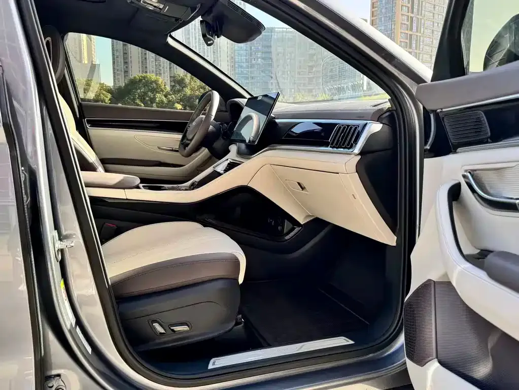 BYD PLUS New Energy — фото 9