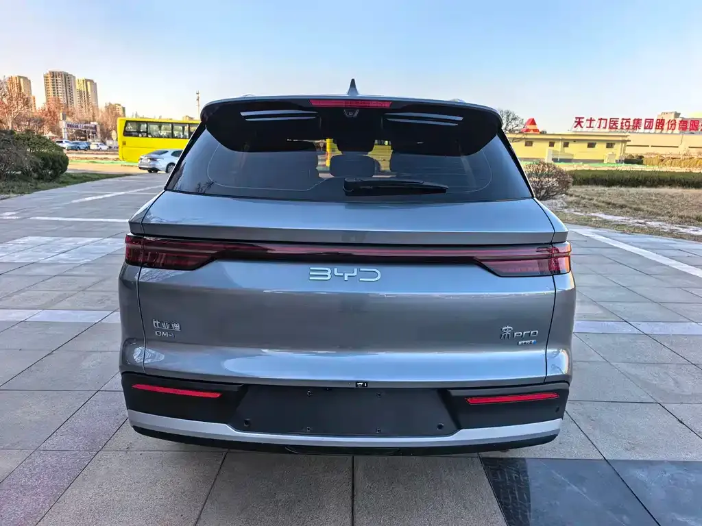 BYD Pro New Energy — фото 8