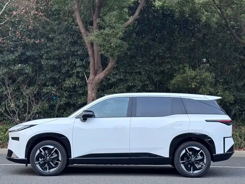 Toyota Platinum 3X — фото 2
