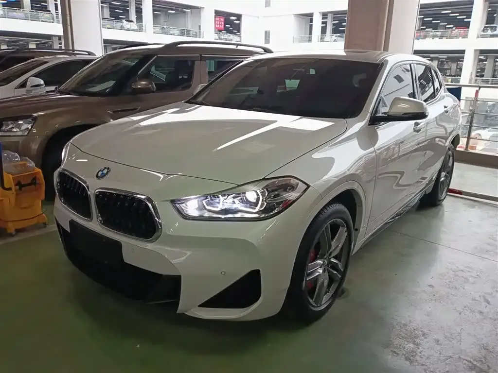 BMW X2 — фото 1