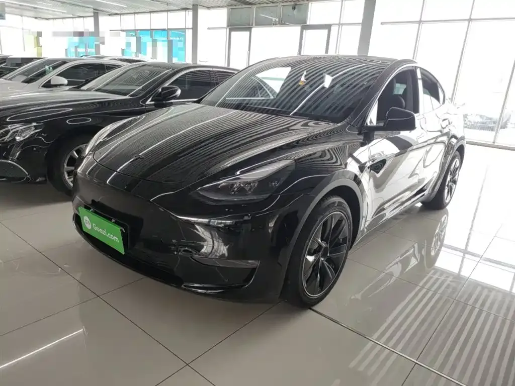 Tesla Model Y — фото 2