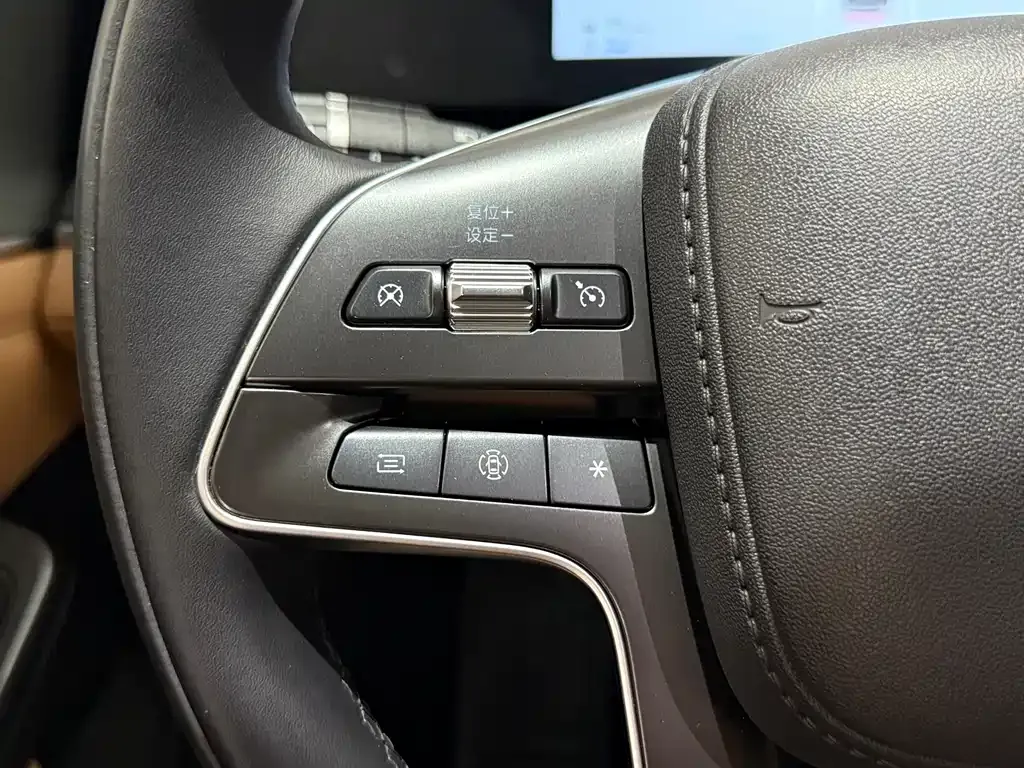 BYD L DM-i — фото 9