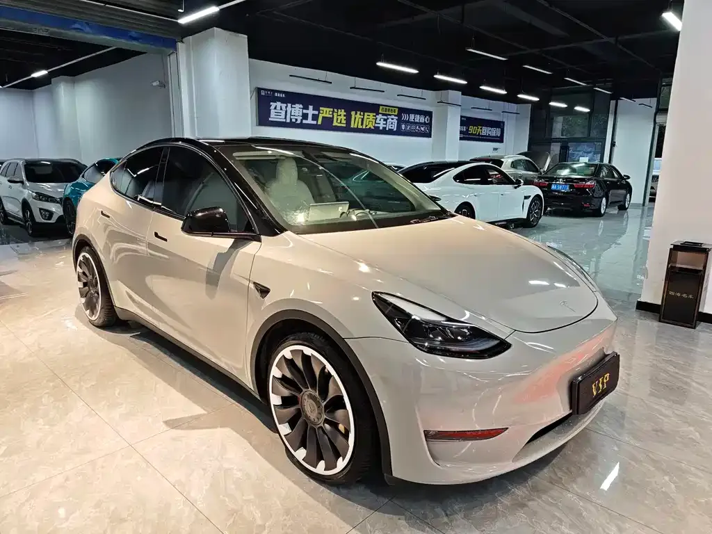 Tesla Model Y — фото 10