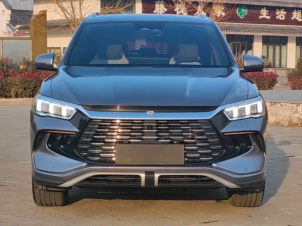 BYD Pro New Energy — фото 4