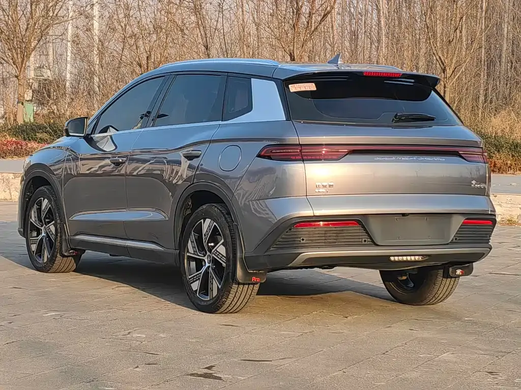 BYD Pro New Energy — фото 10