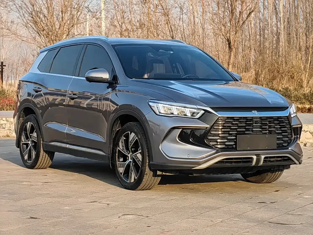 BYD Pro New Energy — фото 9