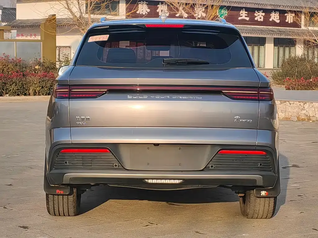 BYD Pro New Energy — фото 5