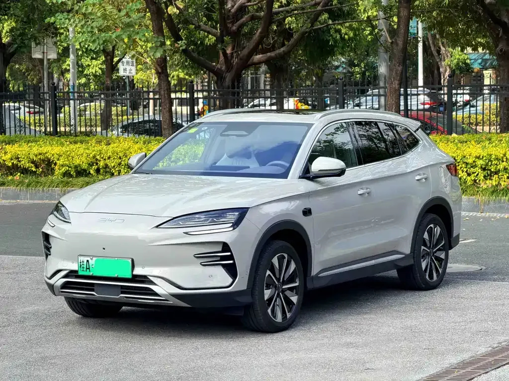 BYD PLUS New Energy — фото 1