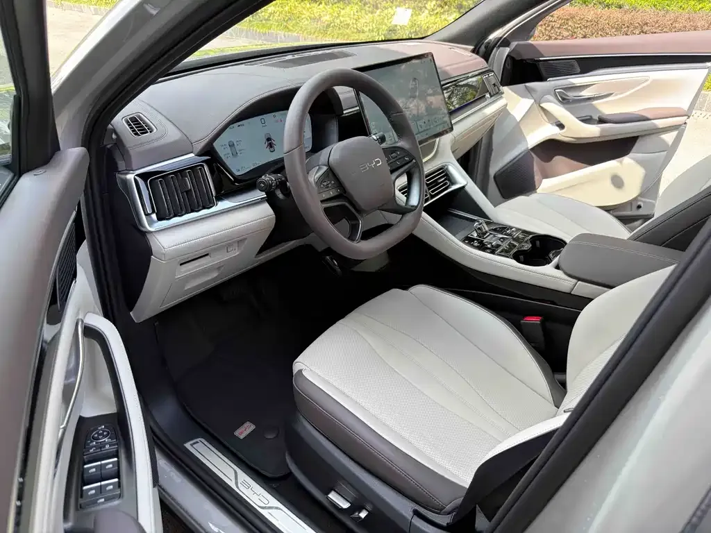 BYD PLUS New Energy — фото 4
