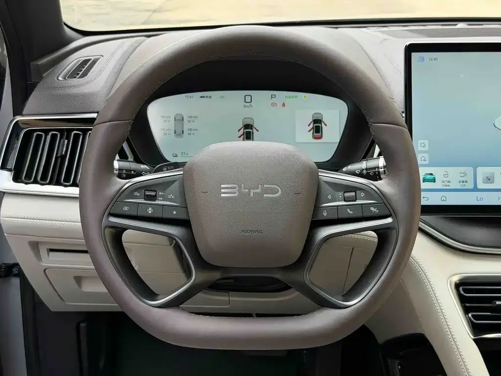 BYD PLUS New Energy — фото 8