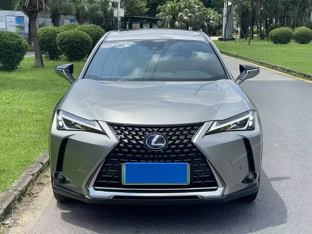 Lexus UX New Energy — фото 6