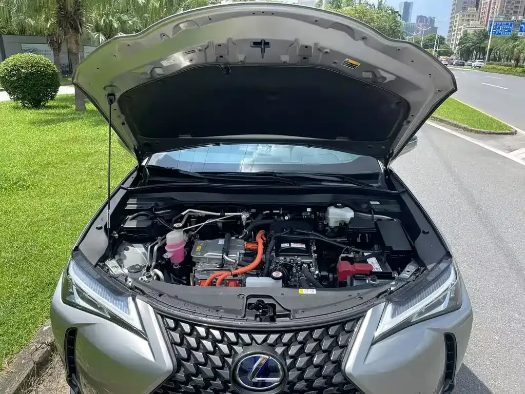 Lexus UX New Energy — фото 10