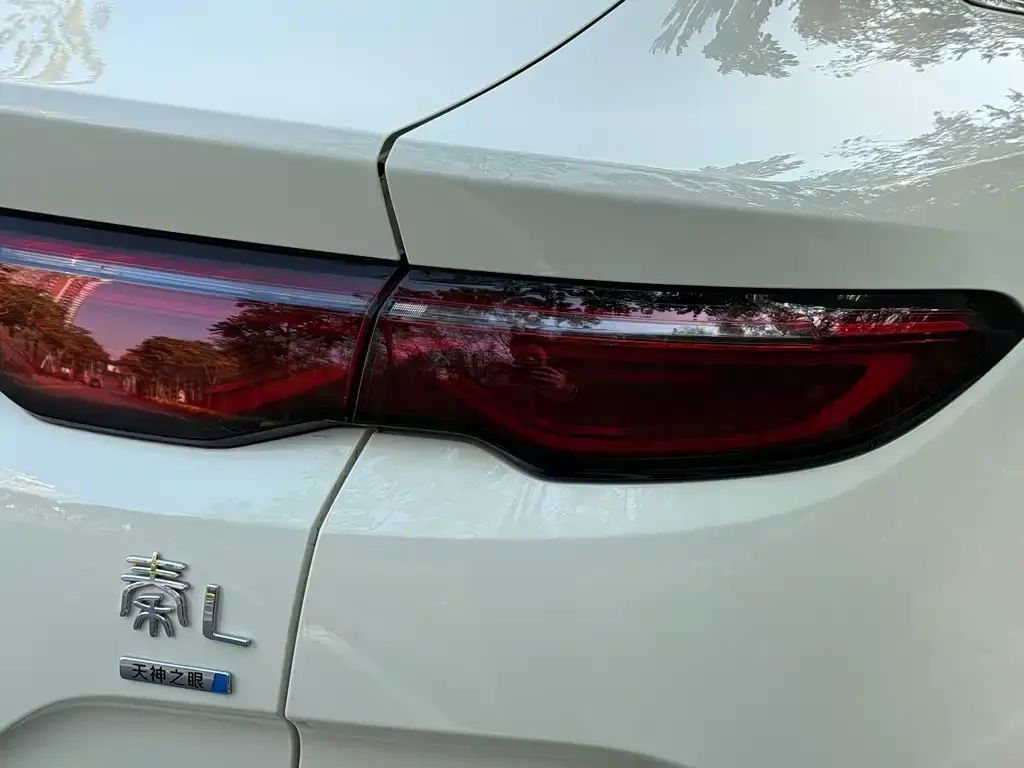 BYD Qin L — фото 2