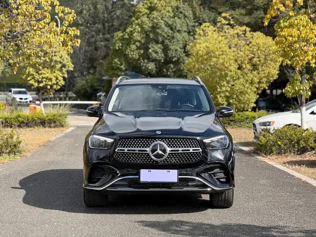 Mercedes-Benz GLE (Import) — фото 4