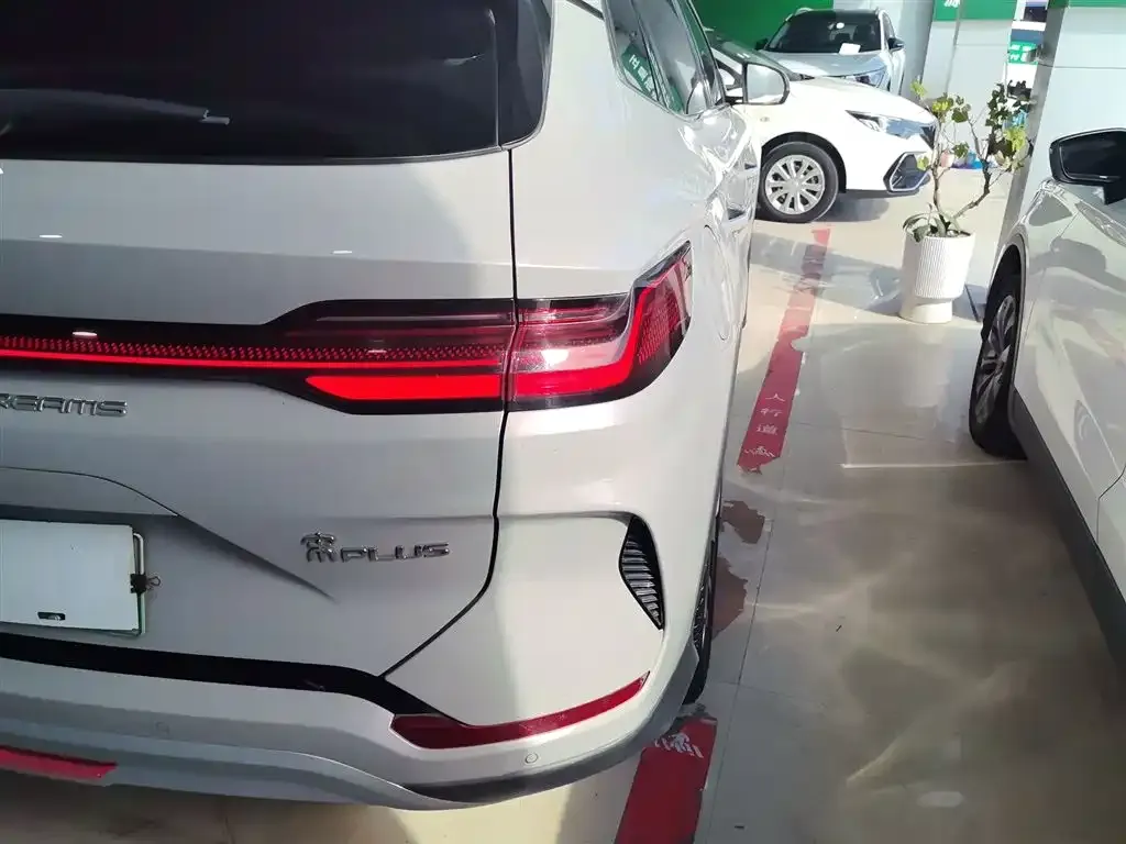 BYD PLUS New Energy — фото 8