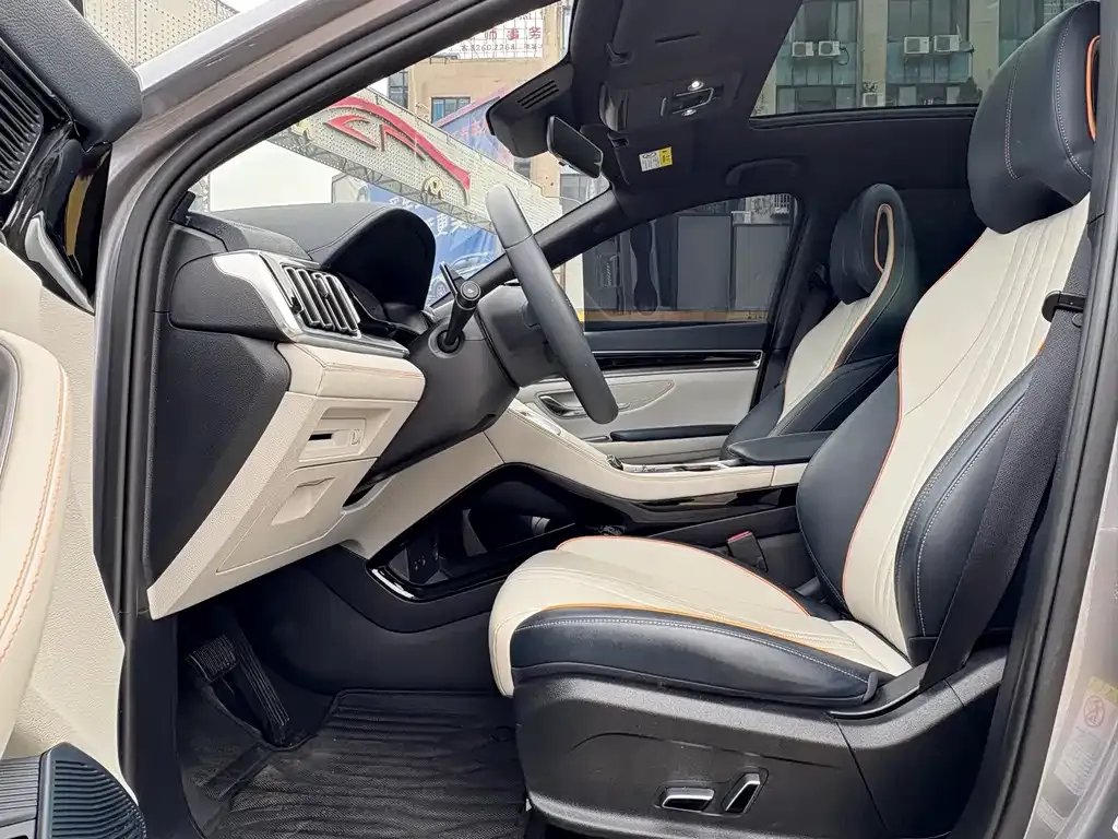 BYD PLUS New Energy — фото 4