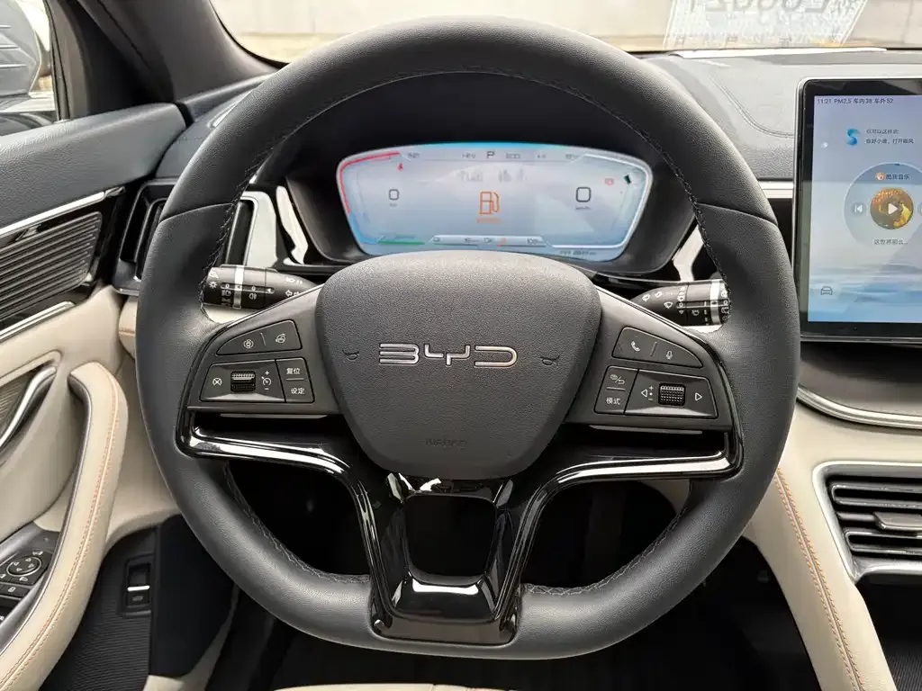 BYD PLUS New Energy — фото 6