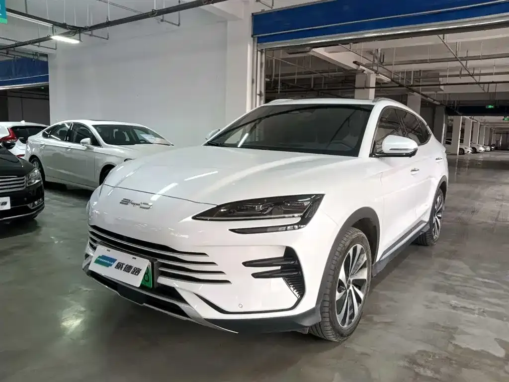 BYD PLUS New Energy — фото 1