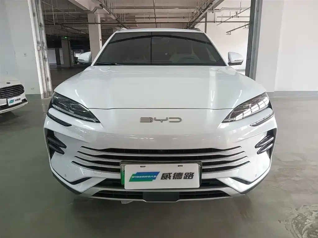 BYD PLUS New Energy — фото 2