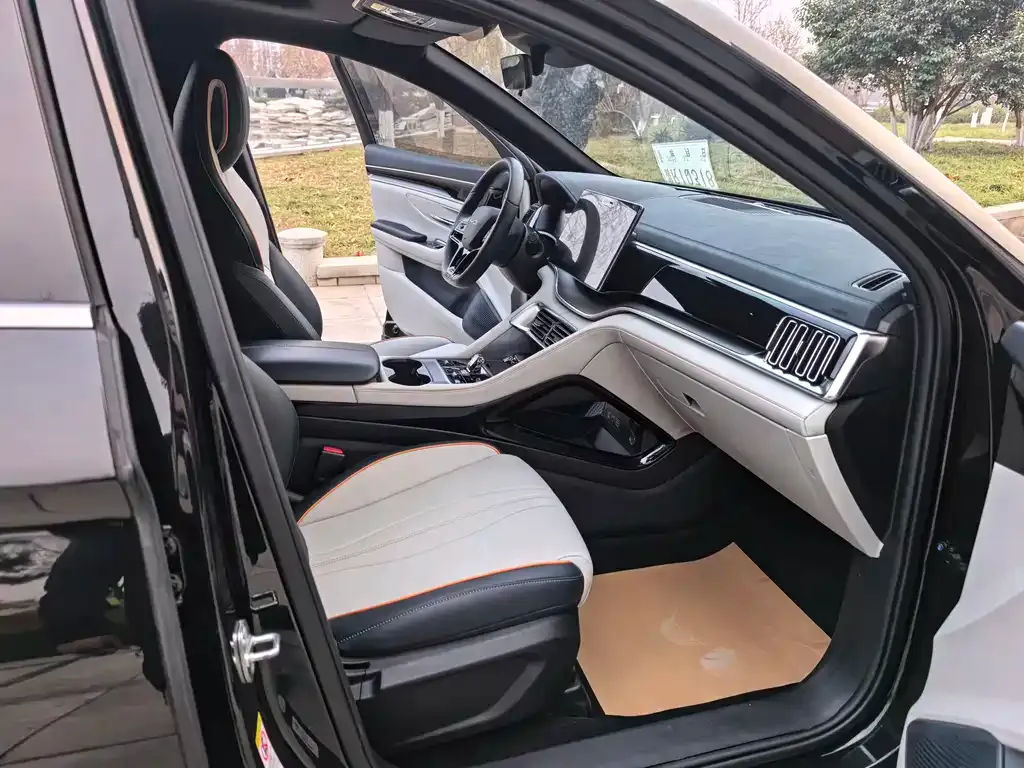 BYD PLUS New Energy — фото 10