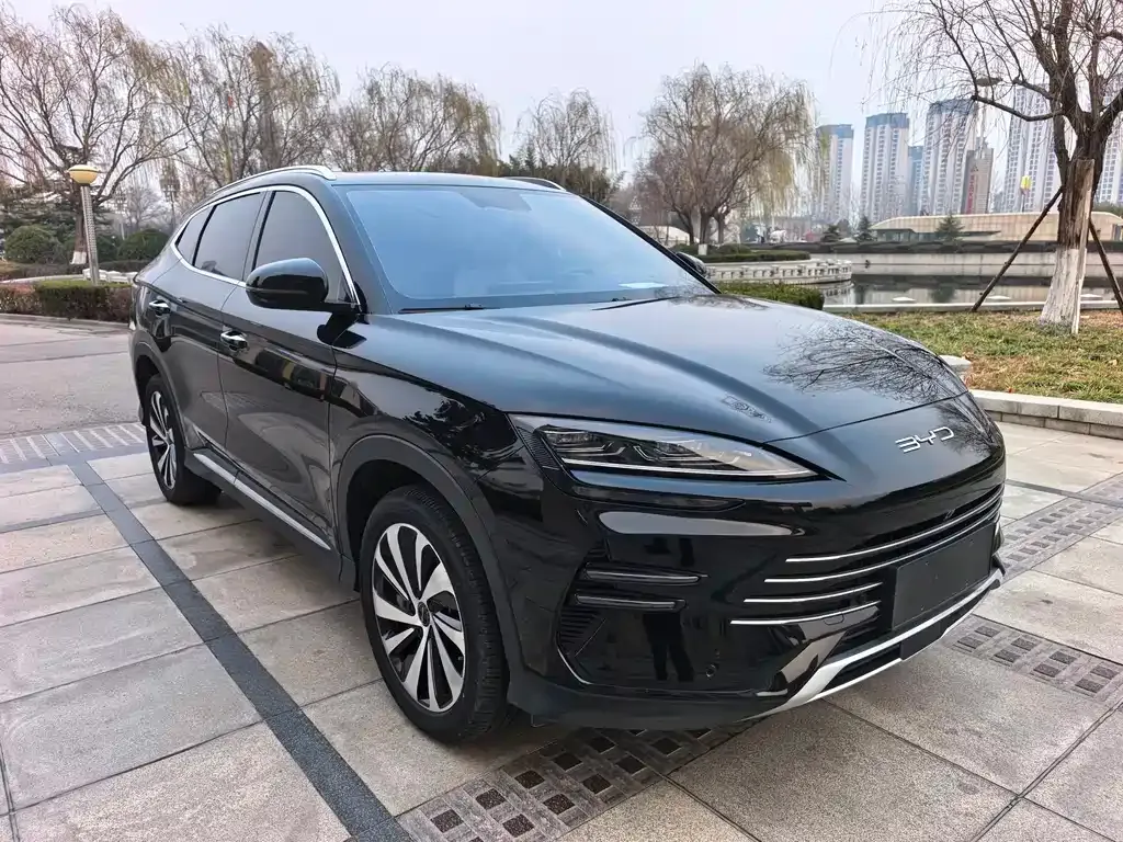BYD PLUS New Energy — фото 3