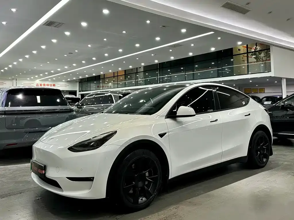 Tesla Model Y — фото 1
