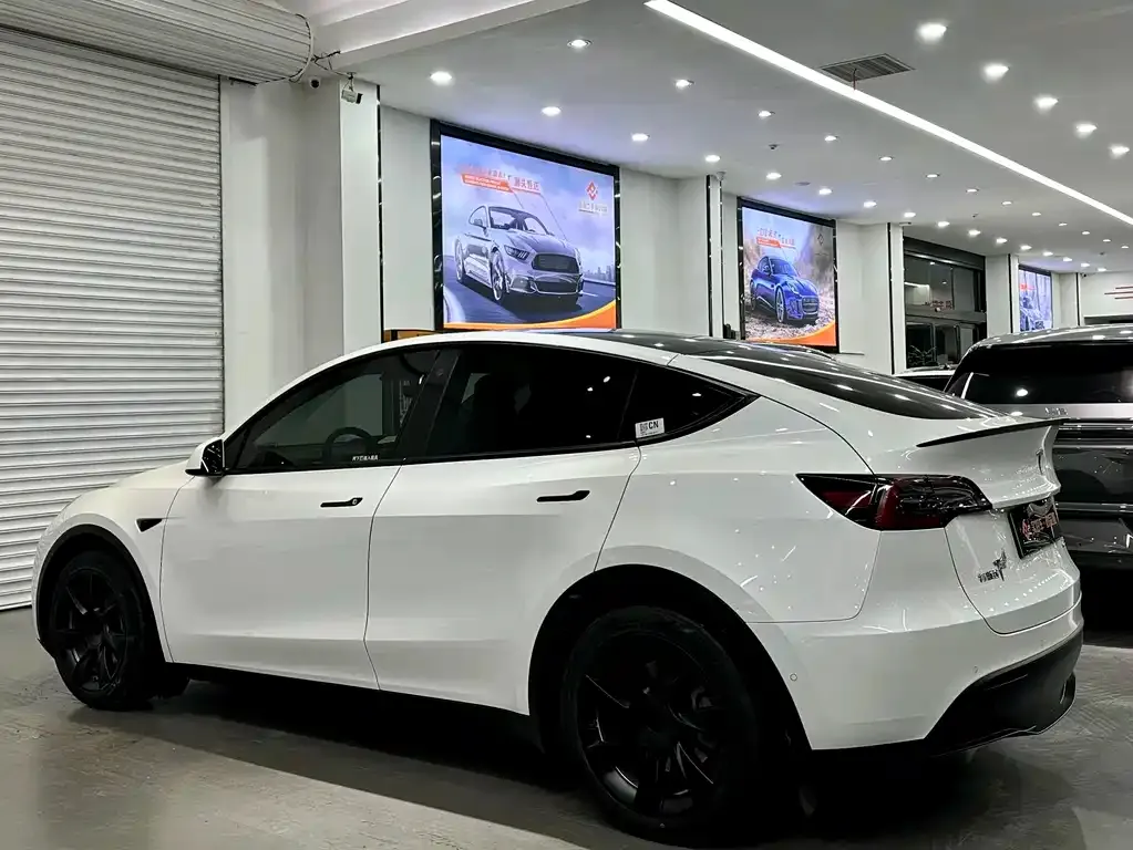 Tesla Model Y — фото 4