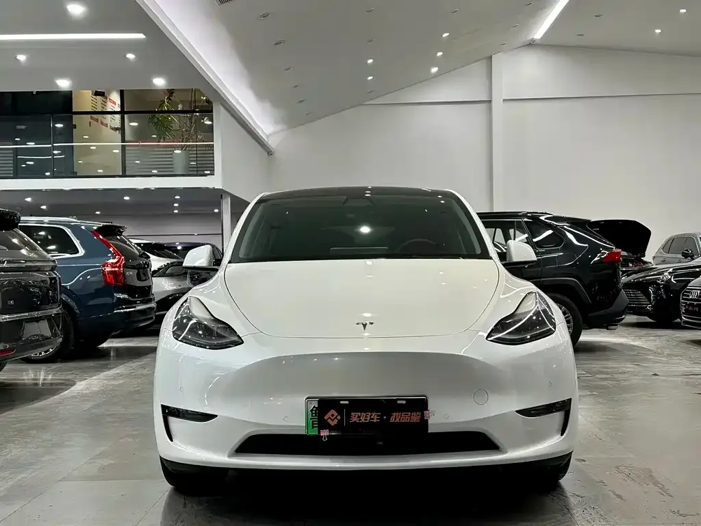 Tesla Model Y — фото 5