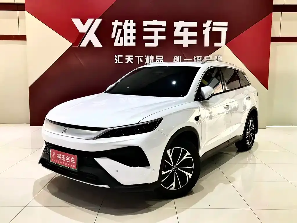 BYD Pro New Energy — фото 1