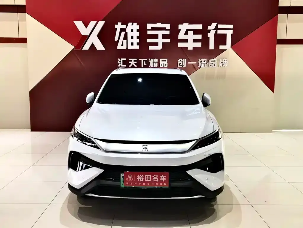 BYD Pro New Energy — фото 2