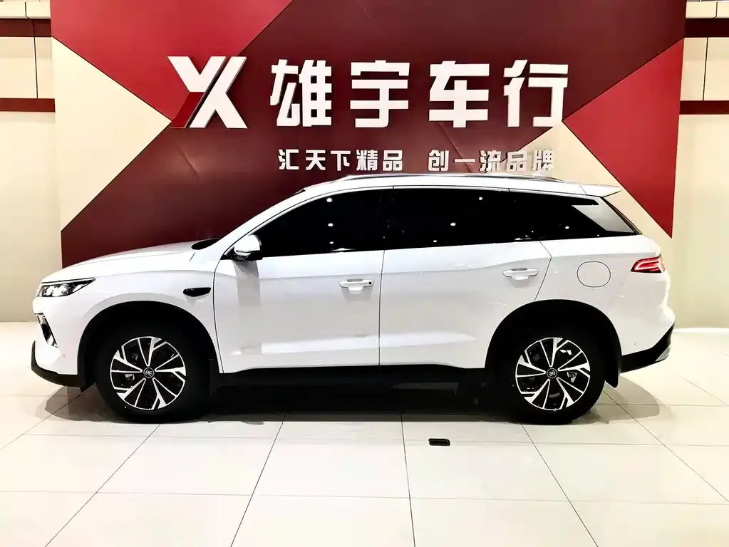 BYD Pro New Energy — фото 3